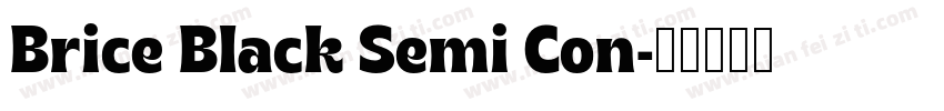 Brice Black Semi Con字体转换
